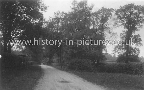 Blackmore Road, Fryering, Essex. c.1914